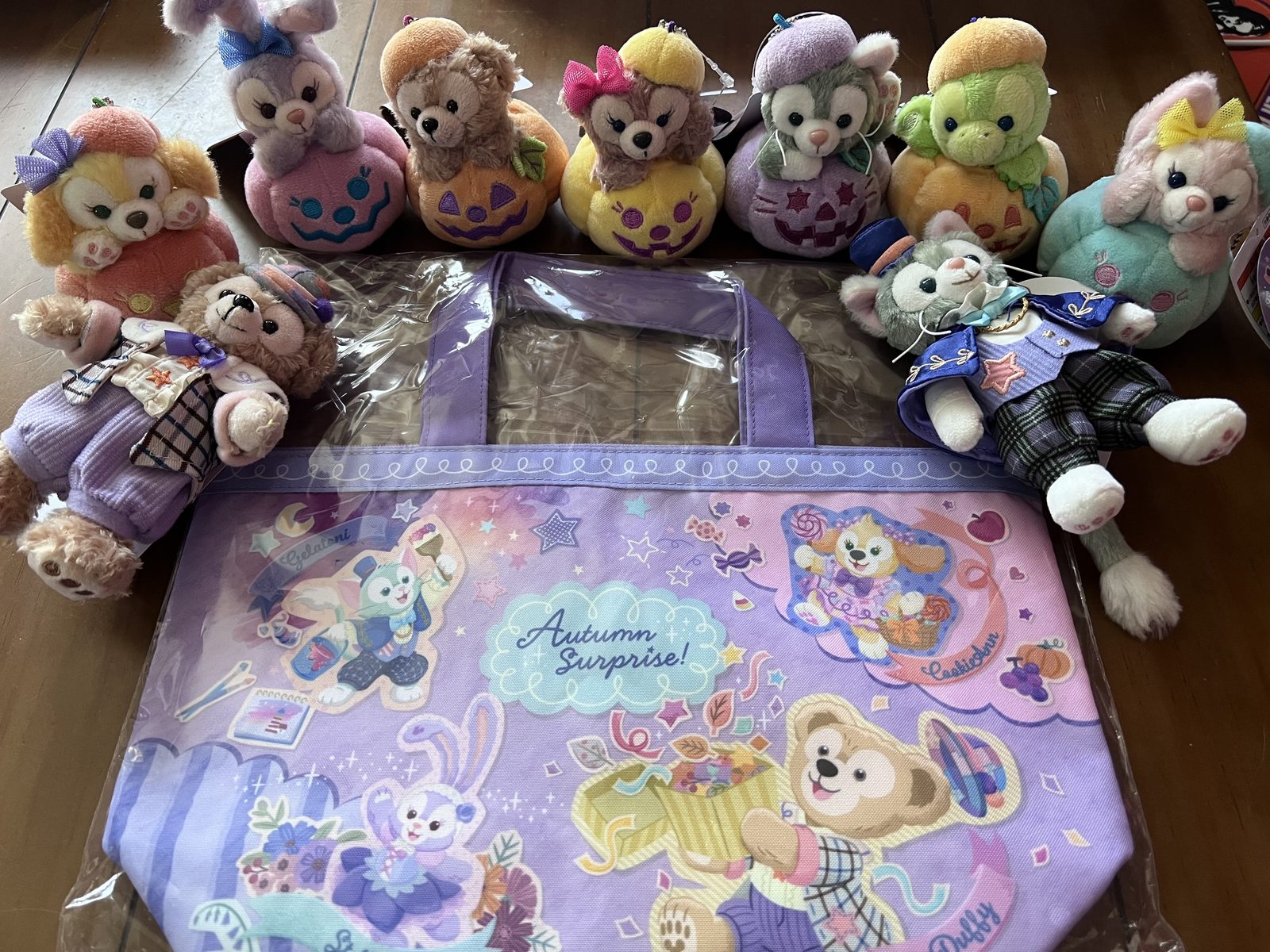 スーベニアランチケースと、買ってきたぬいぐるみバッジたち